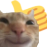 thumbsupcat